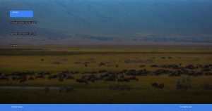 Taman Nasional Serengeti di Tanzania | Turtlebin