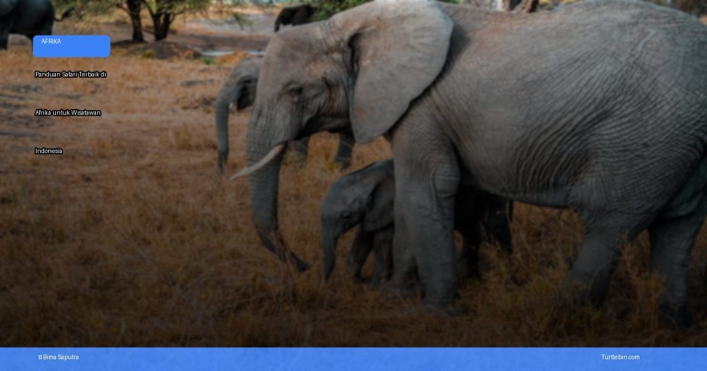 safari terbaik di Afrika untuk wisatawan Indonesia | Turtlebin