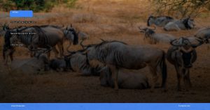 Taman Nasional Serengeti di Tanzania | Turtlebin