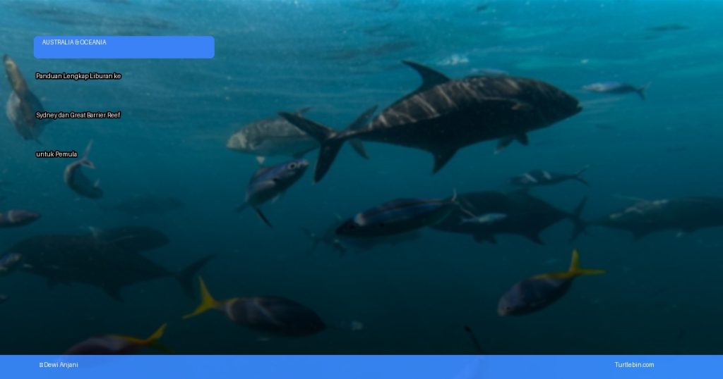 liburan ke Sydney dan Great Barrier Reef | Turtlebin