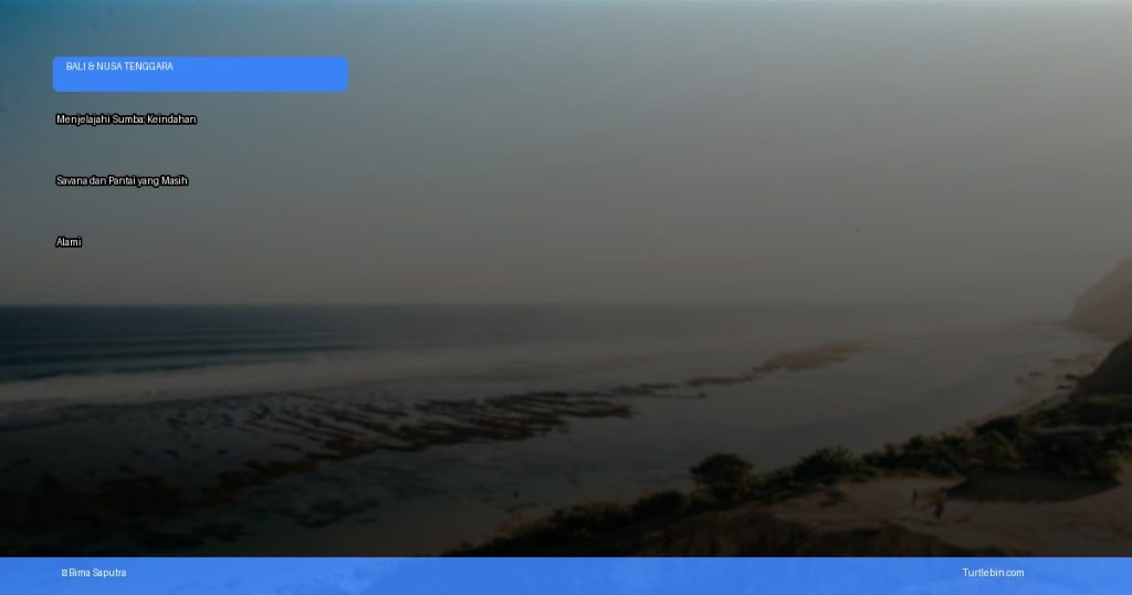menjelajahi sumba keindahan savana dan pantai yang masih alami | Turtlebin