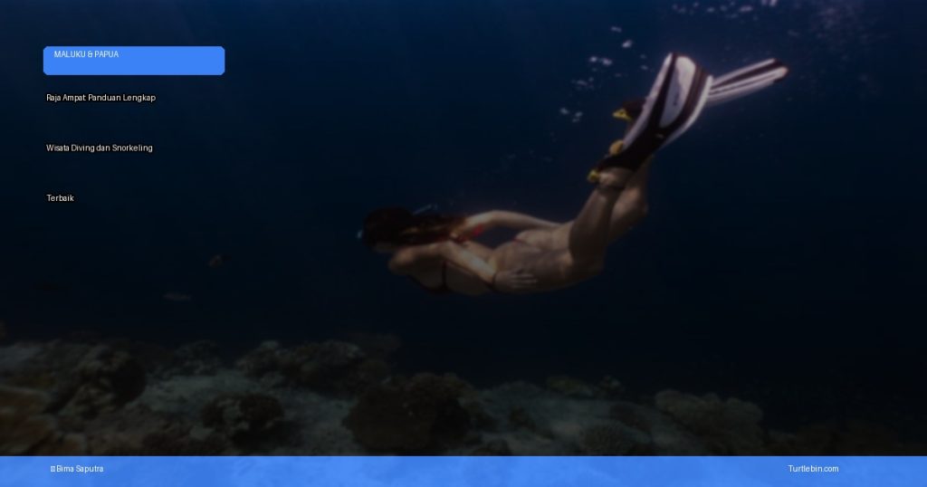 Raja Ampat: panduan lengkap wisata diving dan snorkeling terbaik | Turtlebin