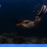 Raja Ampat: panduan lengkap wisata diving dan snorkeling terbaik | Turtlebin