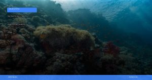Raja Ampat: panduan lengkap wisata diving dan snorkeling terbaik | Turtlebin
