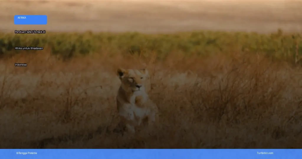 safari terbaik di Afrika untuk wisatawan Indonesia | Turtlebin