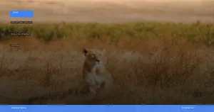safari terbaik di Afrika untuk wisatawan Indonesia | Turtlebin