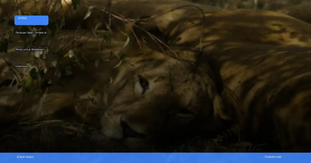 safari terbaik di afrika untuk wisatawan indonesia | Turtlebin