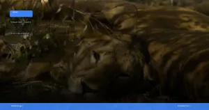 safari terbaik di afrika untuk wisatawan indonesia | Turtlebin