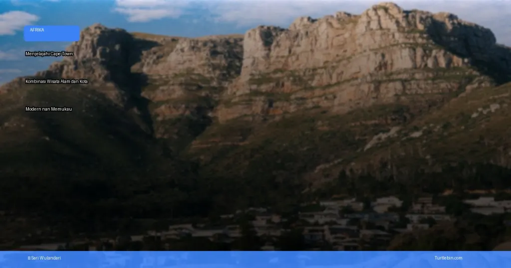 wisata Cape Town | Turtlebin