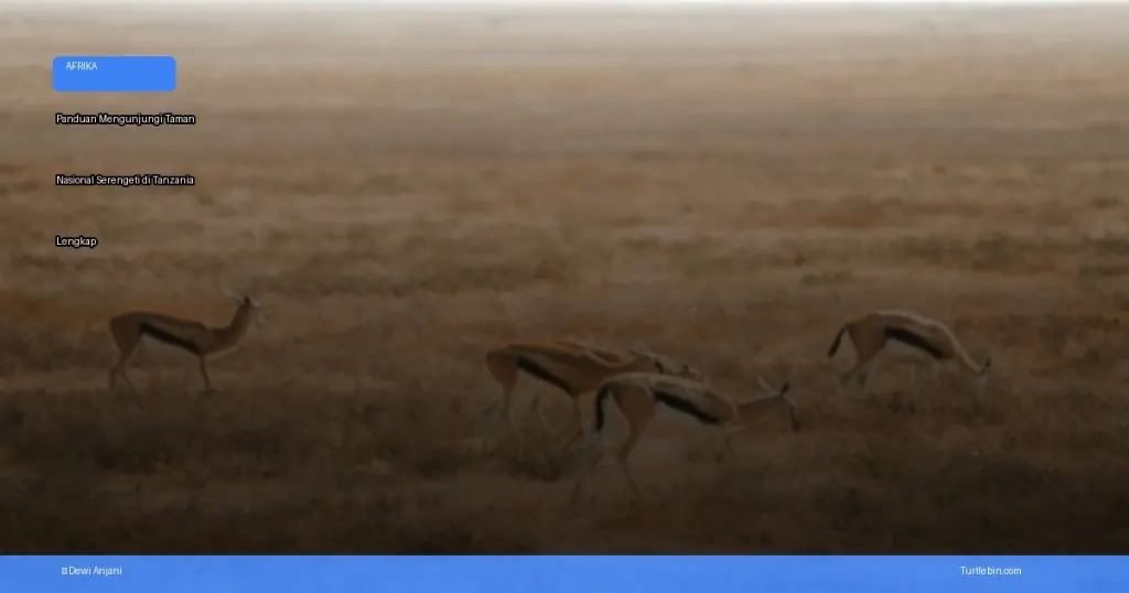 Taman Nasional Serengeti di Tanzania | Turtlebin