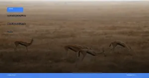 Taman Nasional Serengeti di Tanzania | Turtlebin