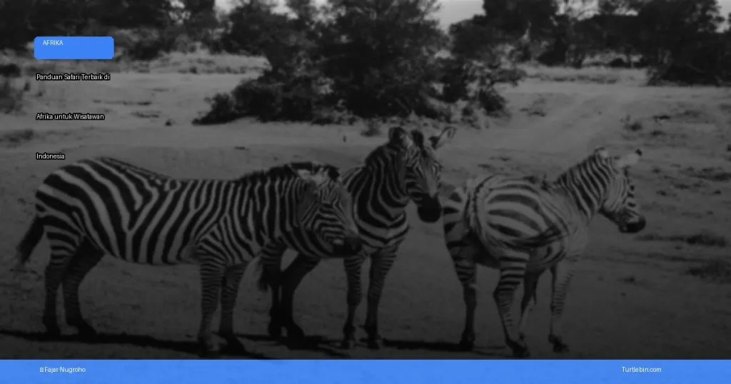 safari terbaik di Afrika | Turtlebin