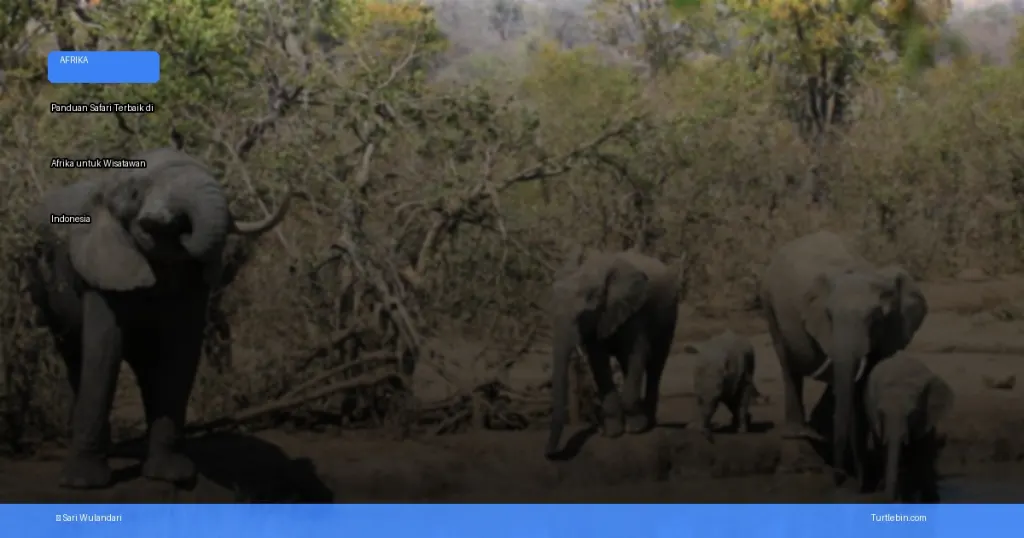 safari terbaik di Afrika untuk wisatawan Indonesia | Turtlebin