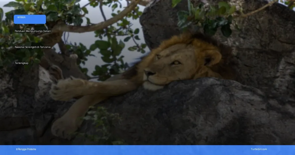 Taman Nasional Serengeti di Tanzania | Turtlebin
