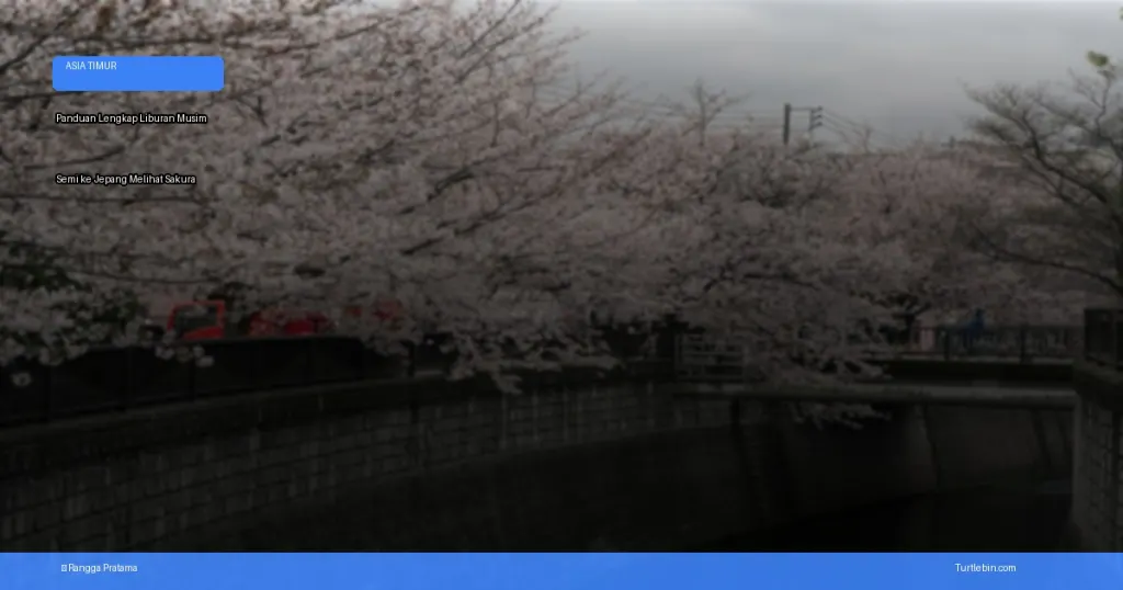 liburan musim semi ke Jepang melihat sakura | Turtlebin