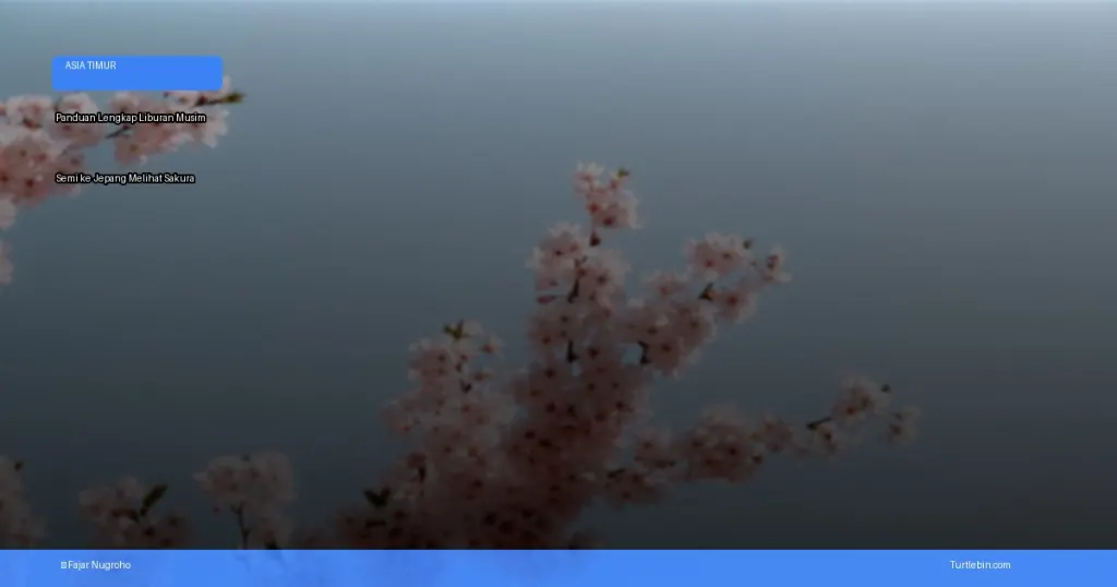 liburan musim semi ke jepang melihat sakura | Turtlebin