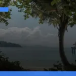 liburan ke Fiji untuk bulan madu | Turtlebin