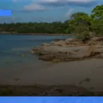 rekomendasi pulau tersembunyi di Pasifik untuk liburan tenang | Turtlebin