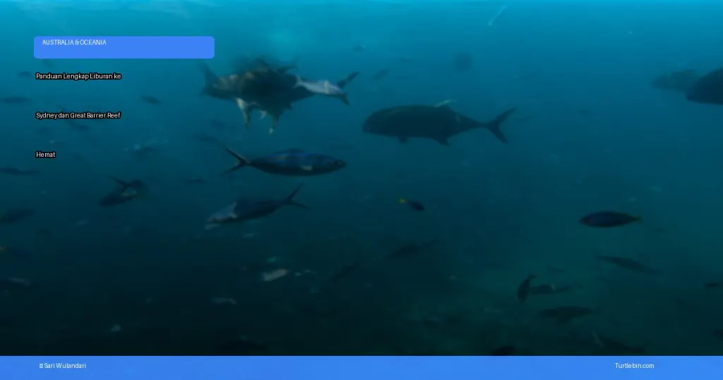 panduan lengkap liburan ke sydney dan great barrier reef | Turtlebin