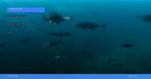 panduan lengkap liburan ke sydney dan great barrier reef | Turtlebin