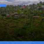 rekomendasi penginapan murah dan nyaman di sekitar ubud | Turtlebin