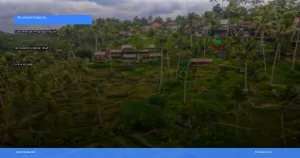 rekomendasi penginapan murah dan nyaman di sekitar ubud | Turtlebin