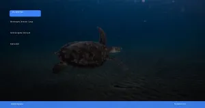 menjelajahi Derawan: surga snorkeling dan diving di Kalimantan | Turtlebin