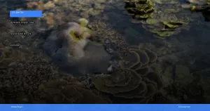 menjelajahi derawan: surga snorkeling dan diving di kalimantan | Turtlebin