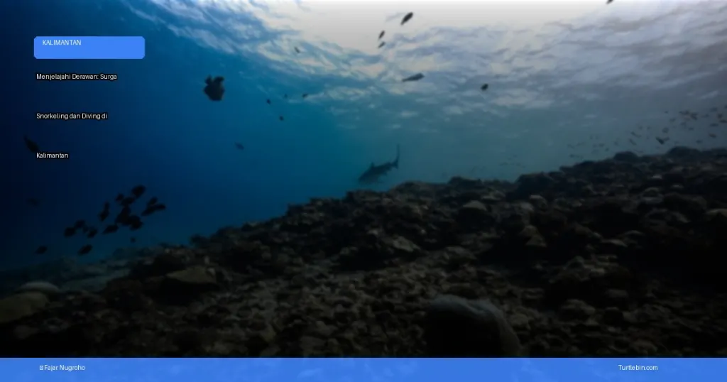 menjelajahi derawan: surga snorkeling dan diving di kalimantan | Turtlebin