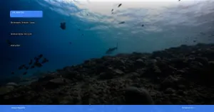 menjelajahi derawan: surga snorkeling dan diving di kalimantan | Turtlebin