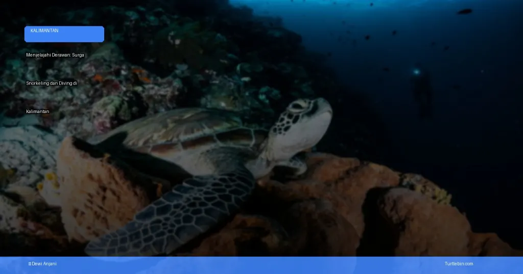 menjelajahi Derawan: surga snorkeling dan diving di Kalimantan | Turtlebin