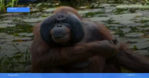 Taman Nasional Tanjung Puting | Turtlebin