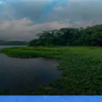 wisata alam tersembunyi di Kalimantan Timur | Turtlebin