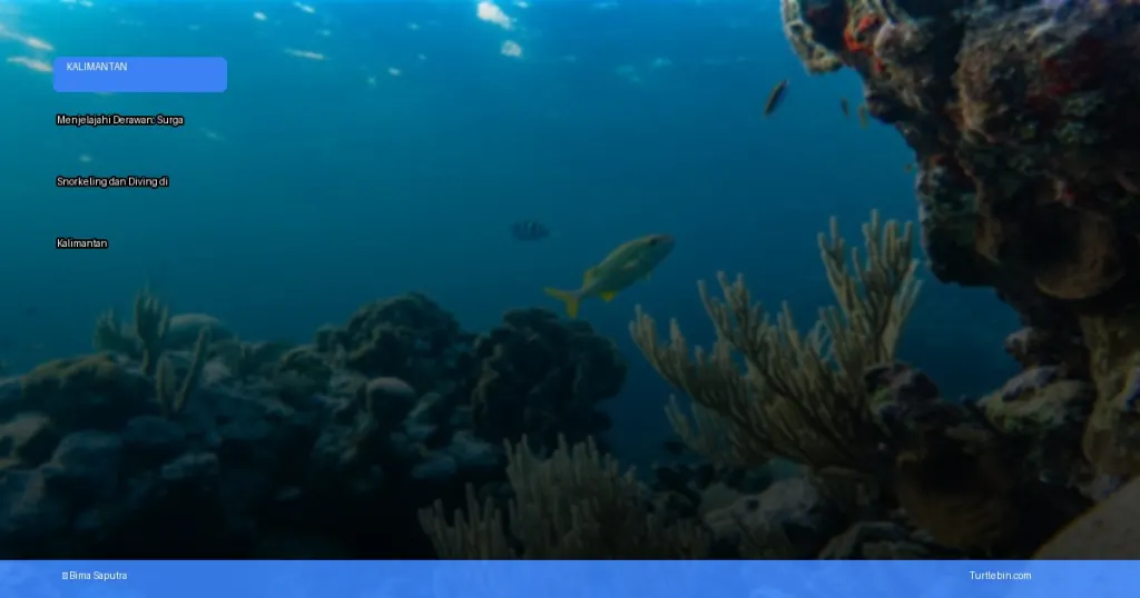 menjelajahi Derawan: surga snorkeling dan diving di Kalimantan | Turtlebin