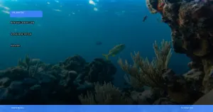 menjelajahi Derawan: surga snorkeling dan diving di Kalimantan | Turtlebin