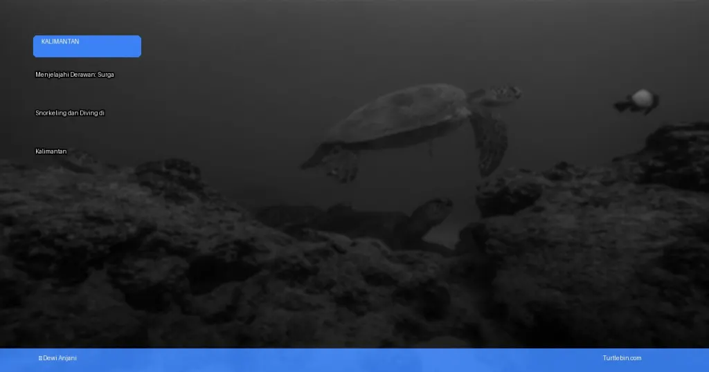 Menjelajahi Derawan: surga snorkeling dan diving di Kalimantan | Turtlebin