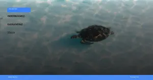 menjelajahi Derawan: surga snorkeling dan diving di Kalimantan | Turtlebin