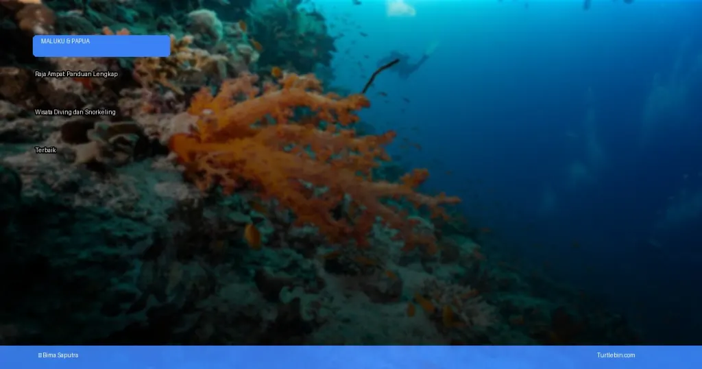 Raja Ampat: panduan lengkap wisata diving dan snorkeling terbaik | Turtlebin