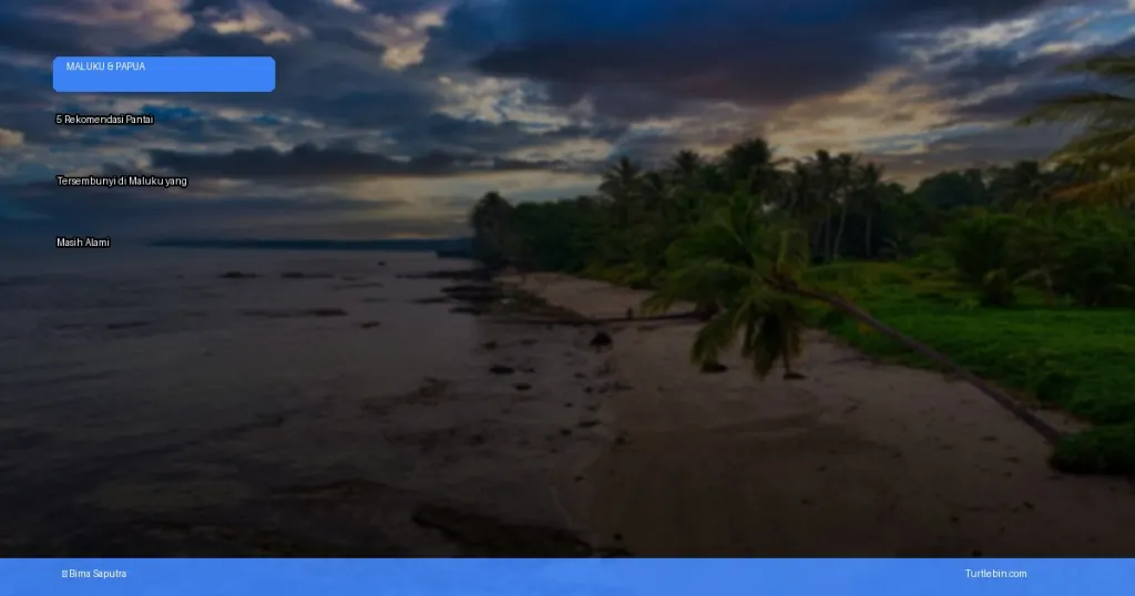 pantai tersembunyi di Maluku yang masih alami | Turtlebin