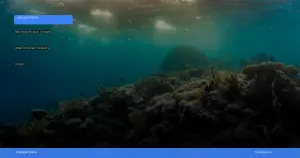 Raja Ampat: panduan lengkap wisata diving dan snorkeling terbaik | Turtlebin