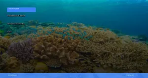 Raja Ampat: panduan lengkap wisata diving dan snorkeling terbaik | Turtlebin