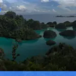 liburan ke Raja Ampat untuk backpacker | Turtlebin