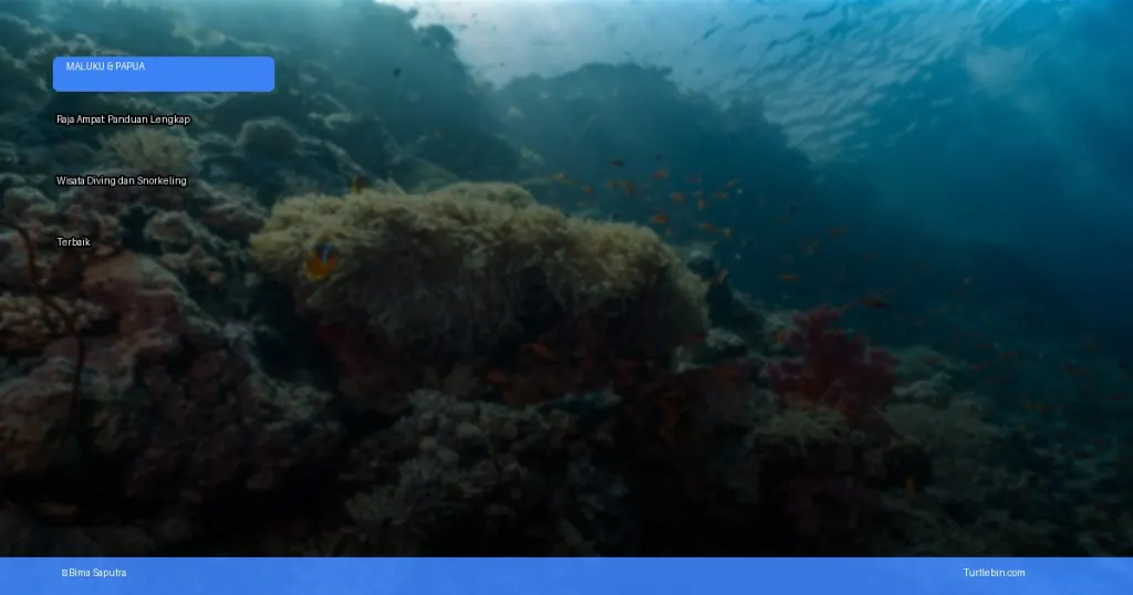 Raja Ampat: panduan lengkap wisata diving dan snorkeling terbaik | Turtlebin