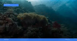 Raja Ampat: panduan lengkap wisata diving dan snorkeling terbaik | Turtlebin