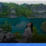liburan ke Raja Ampat untuk backpacker | Turtlebin