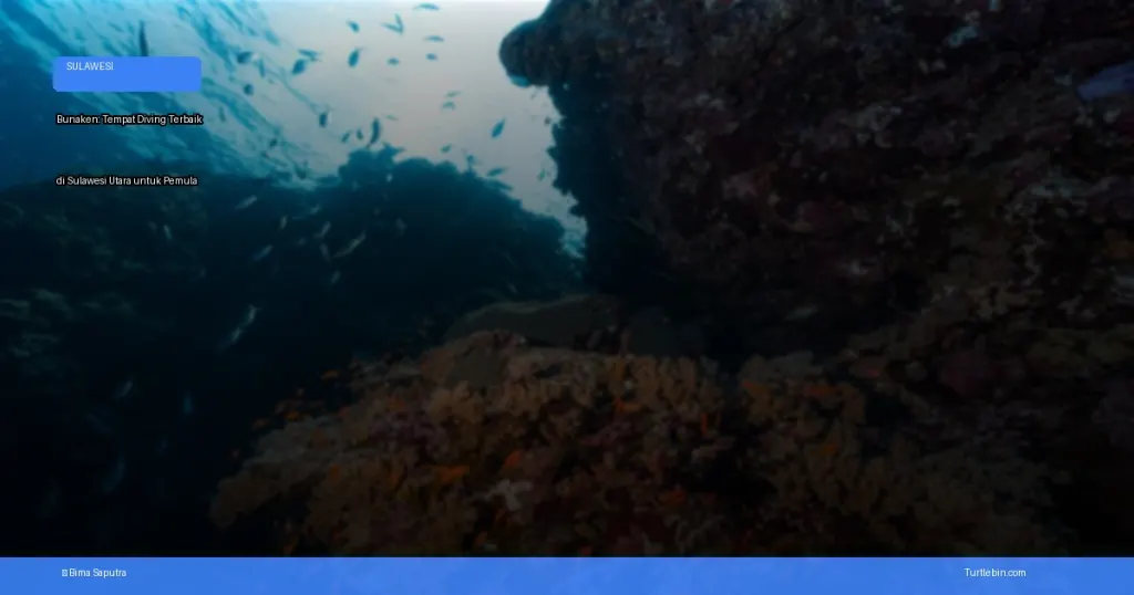 Bunaken tempat diving terbaik di Sulawesi Utara untuk pemula | Turtlebin