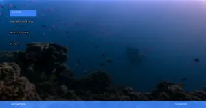 wisata alam Wakatobi: surga bawah laut yang wajib dikunjungi | Turtlebin