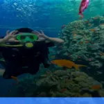 wisata alam Wakatobi: surga bawah laut yang wajib dikunjungi | Turtlebin
