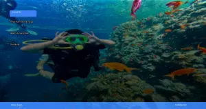 wisata alam Wakatobi: surga bawah laut yang wajib dikunjungi | Turtlebin