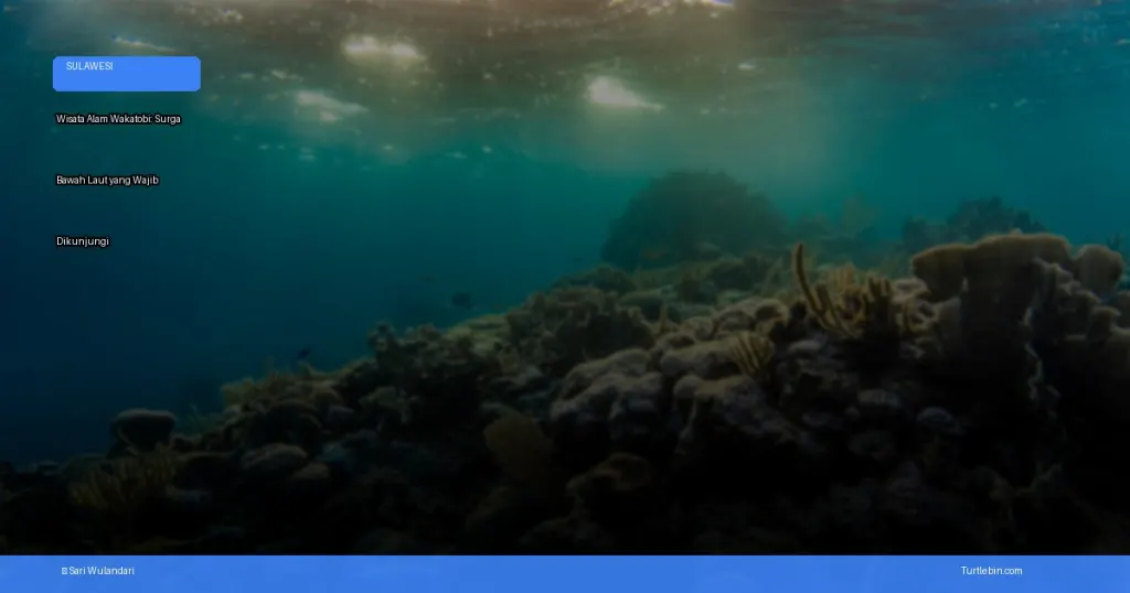 wisata alam Wakatobi | Turtlebin